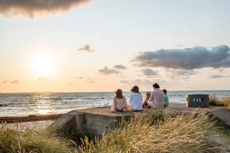 Fem personer på stranden tittar ut över sundet.