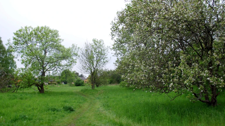 Miljöbild Örby ängar, Esket