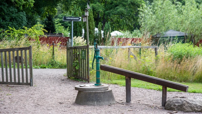 Vi gjorde om odlingslotten ”Gläntan” till en vacker och lummig mötesplats inom Ättekulla naturreservat.