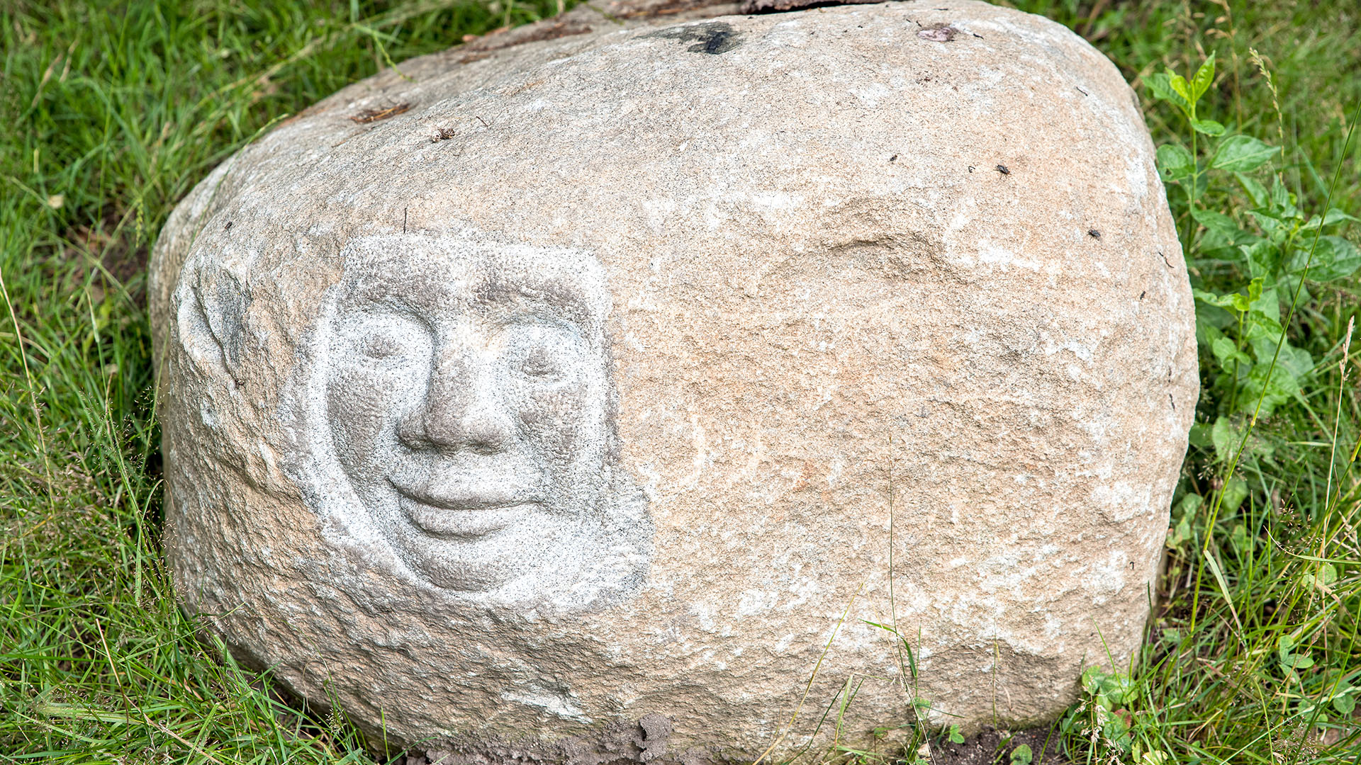 Sten med uthugget ansikte i Gläntan i Ättekulla naturreservat