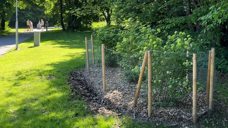 Den nya planteringen i Hagaparken i Påarp.