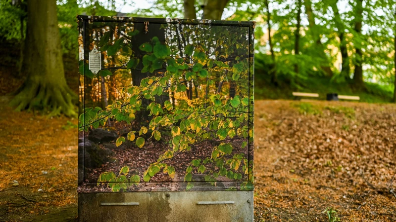 Prunkande elskåp i Kopparmölleparken.