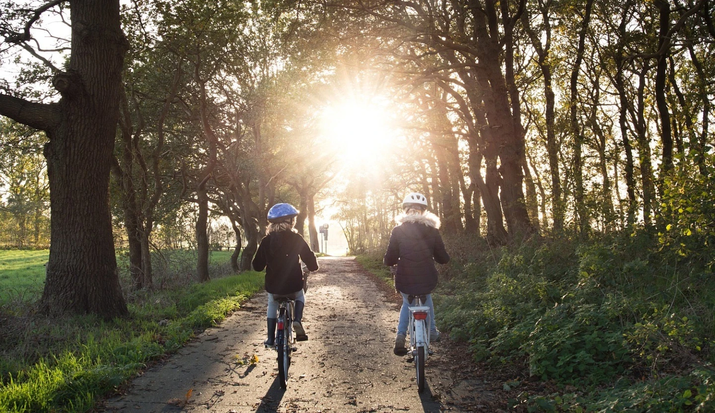 Two children on bicycles, riding through a forest with light flooding through the leaves