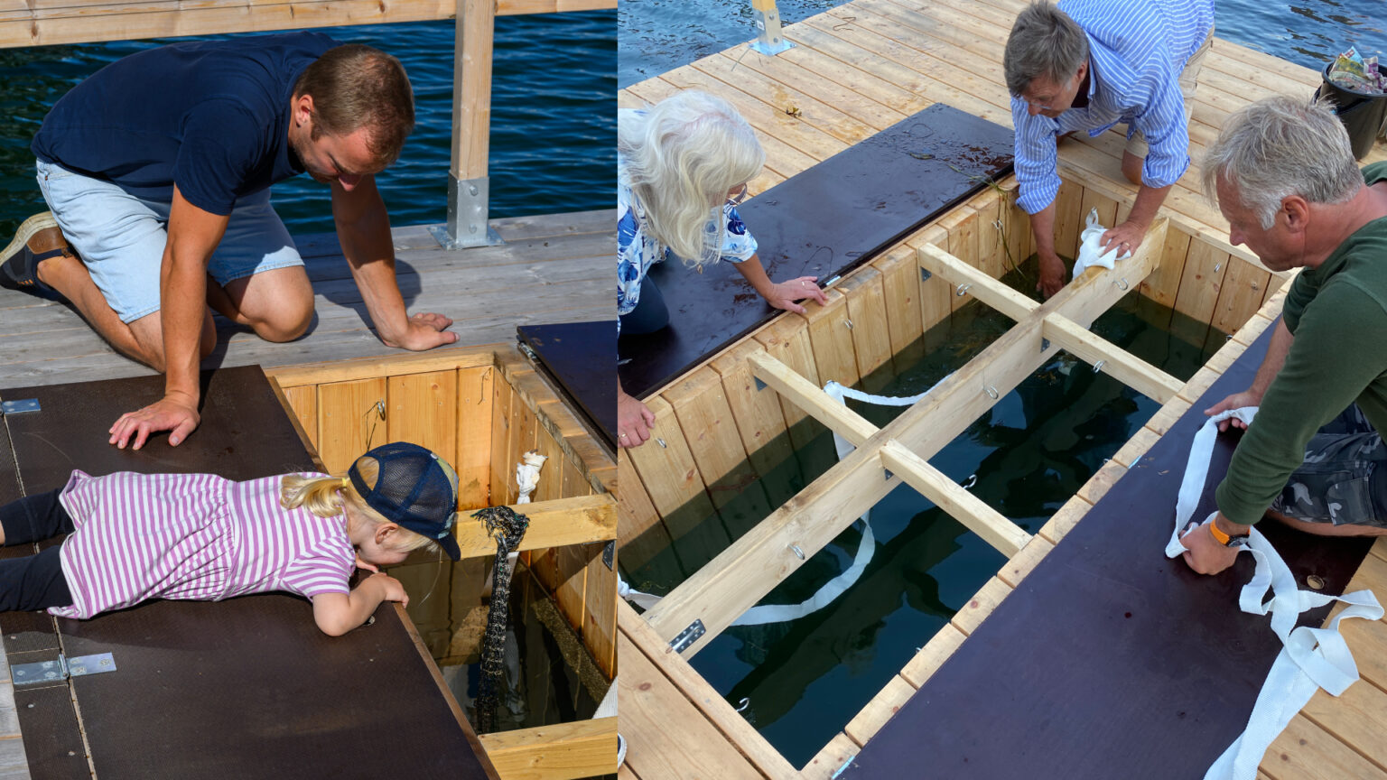 Unik Musselodling Mitt I Stan Men G r De Att ta Helsingborg se unik-musselodling-mitt-i-stan-men-g-r-de-att-ta-helsingborg-se