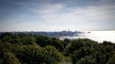 Helsingborg och Öresunds kust, sett från långt håll, med skog i förgrunden