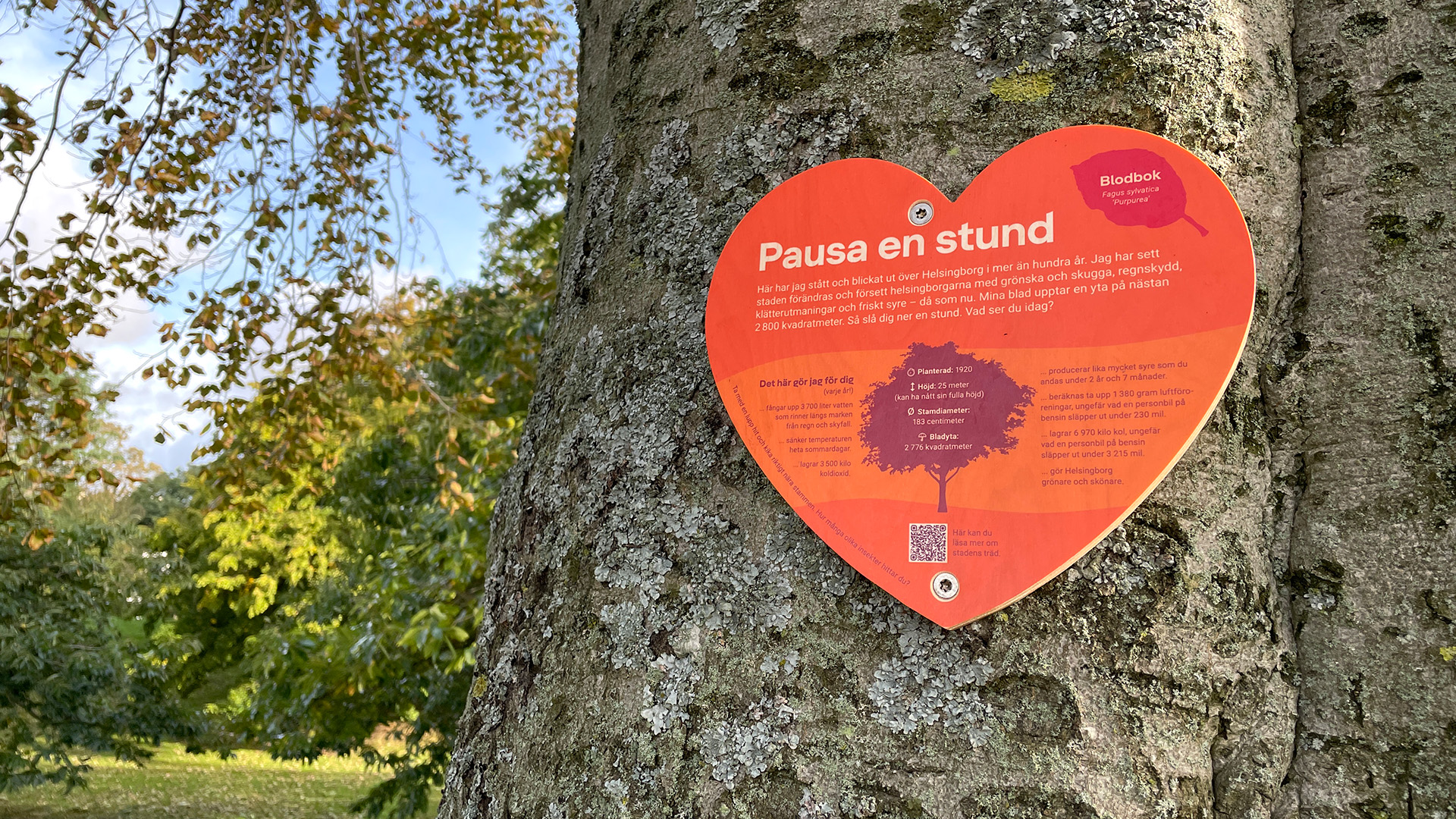 Skylt i form av hjärta på träd i Helsingborg.