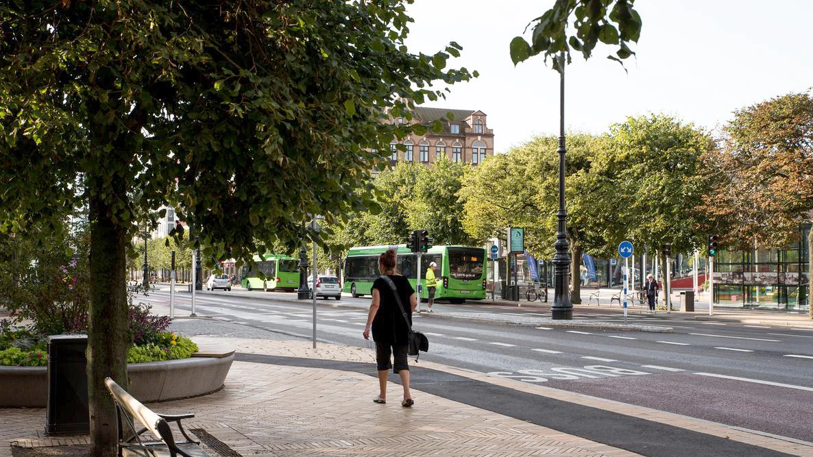 Kvinna som går i trädallén på Drottninggatan Helsingborg.