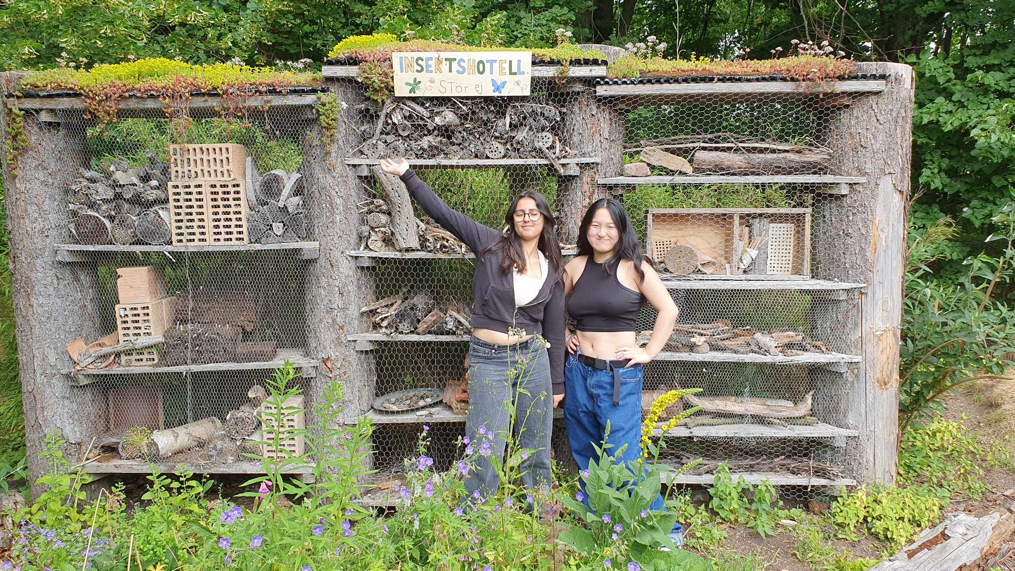 Två chefer står framför ett stort insektshotell med flera våningar och gräs på taket.