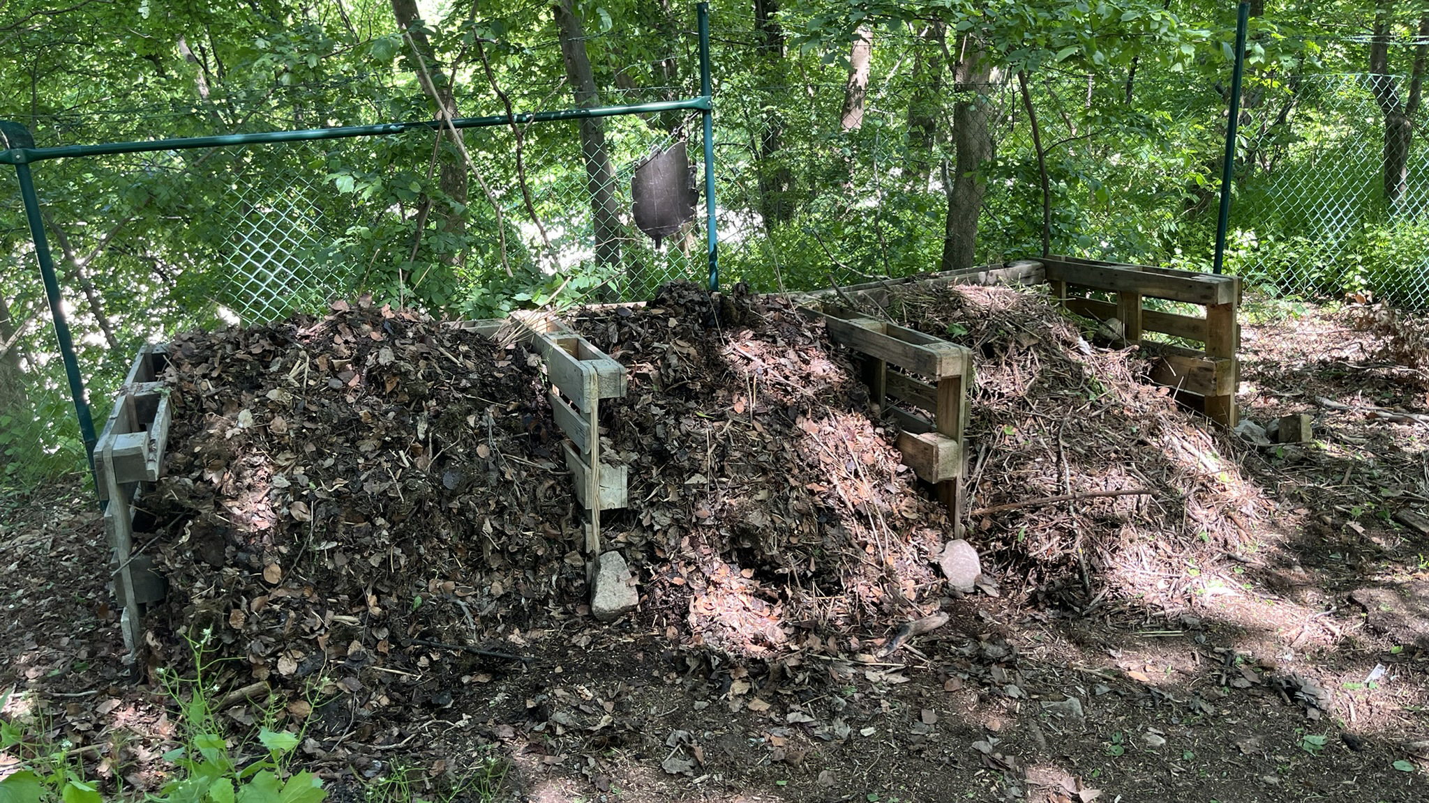 Tre komposthögar med löv inringade av lastpallar.