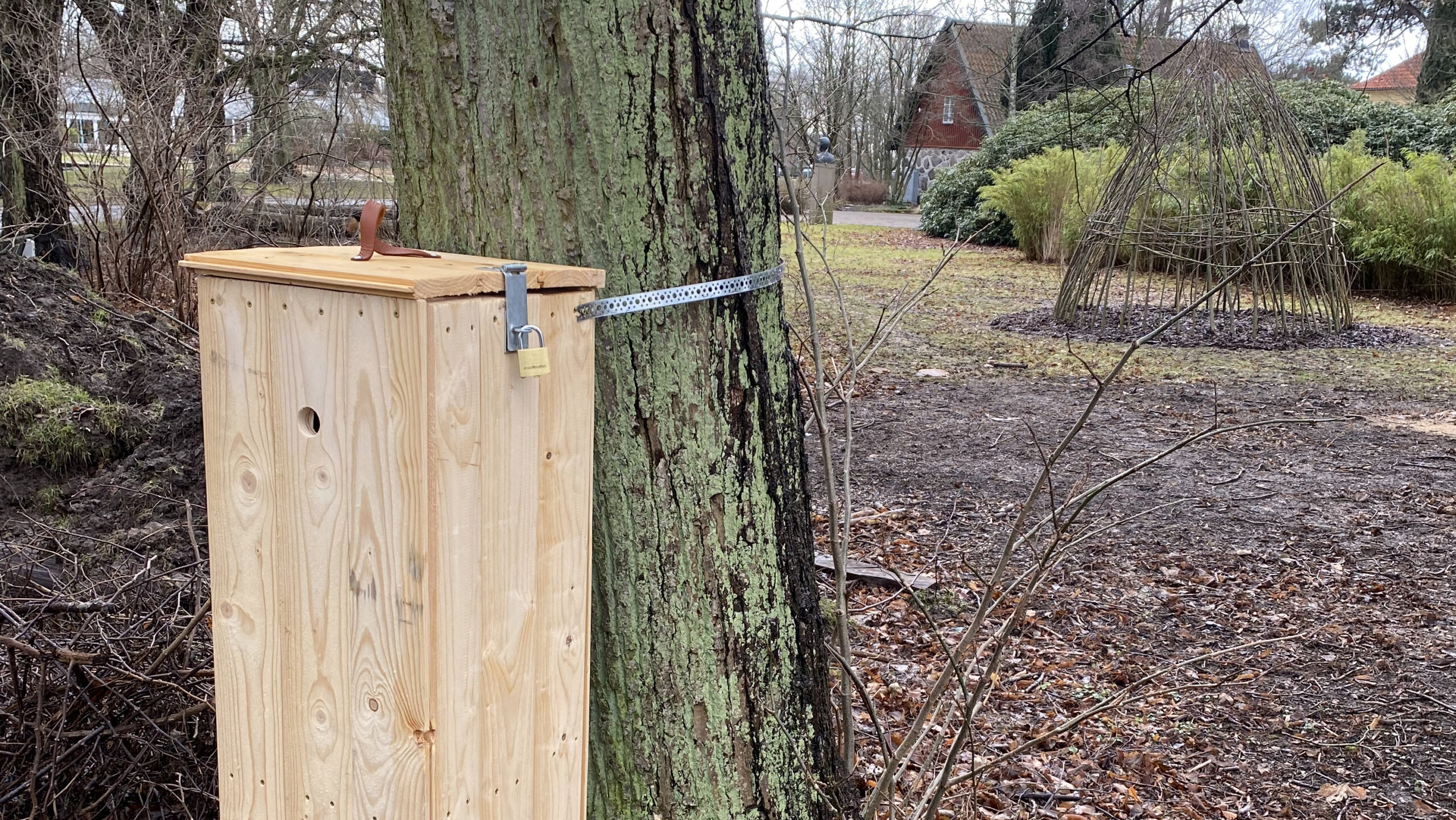 Toppen på en träholk med ett litet håll på ena sidan, som står vid ett träd.