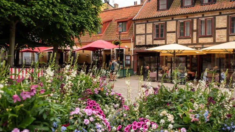 Del av Maria torg i Helsingborg med sommarblommor i förgrunden.