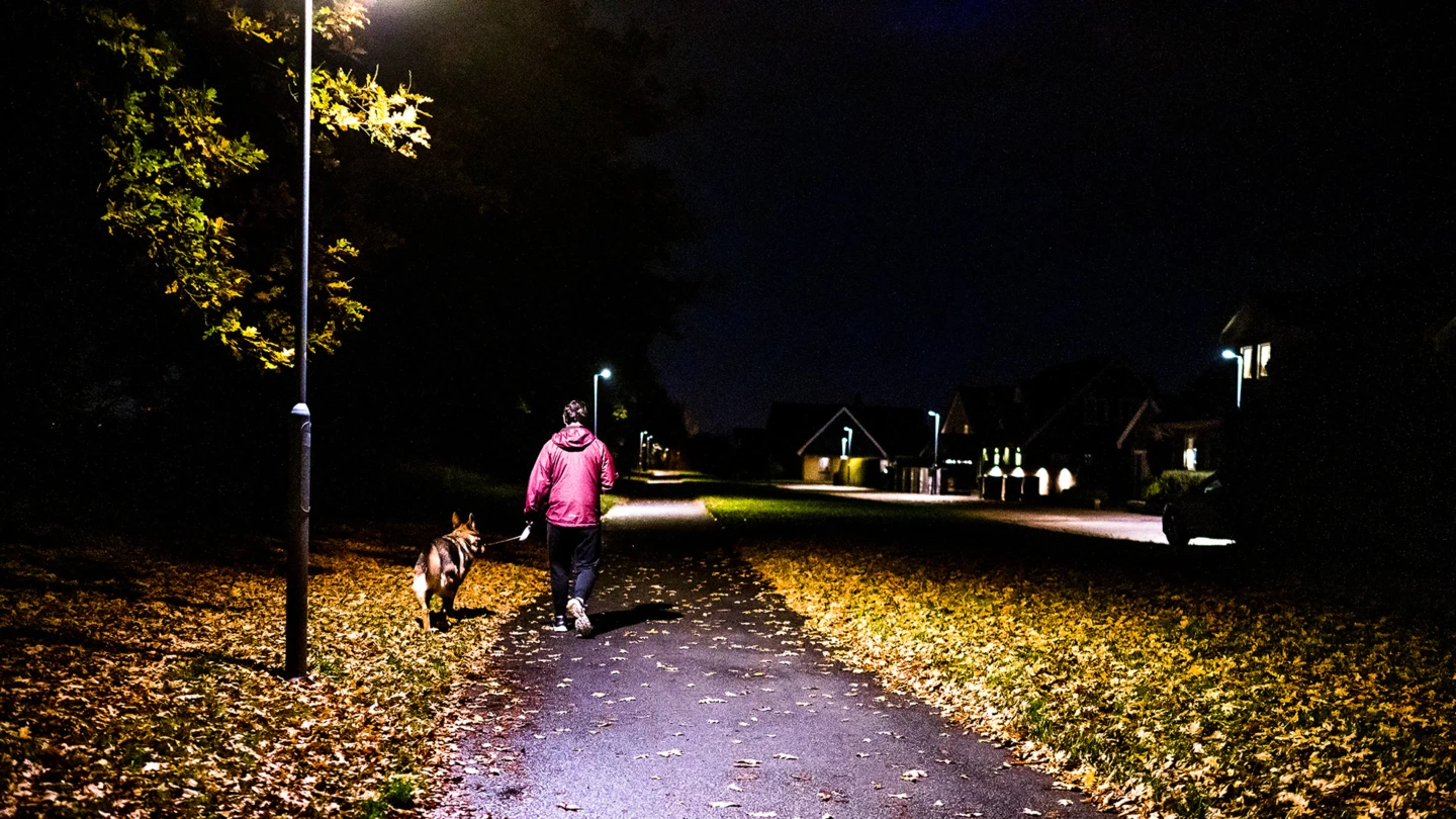 Person med hund på upplyst gångbana en höstkväll.