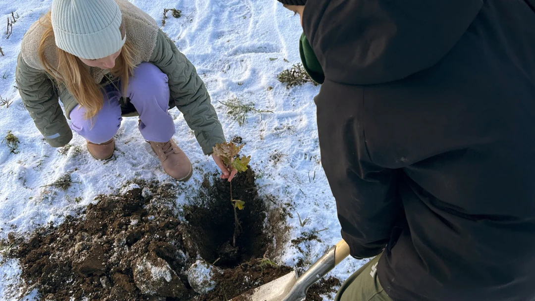 Elever från Gläntanskolan i Ödåkra planterar träd i Björka fälad