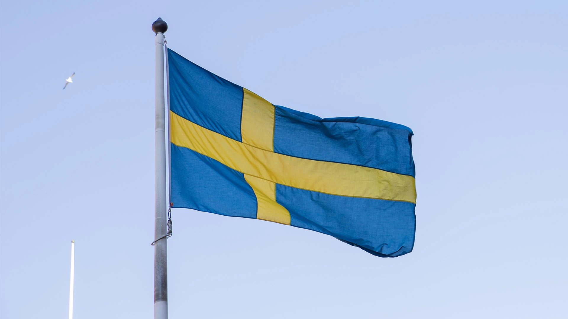 Sveriges flagga