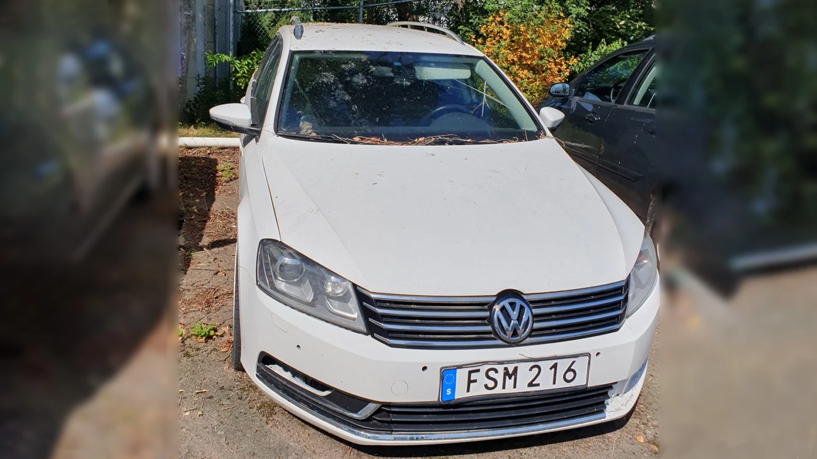 Passat, anbudsbil