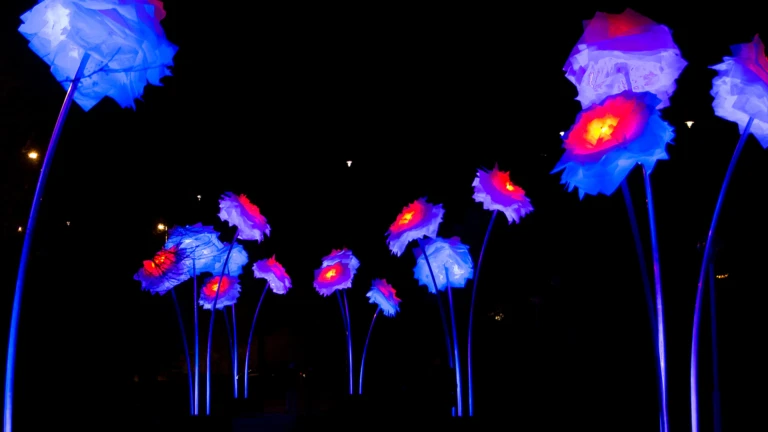 Ljusinstallation på St Jörgens plats under Drömljus 2018