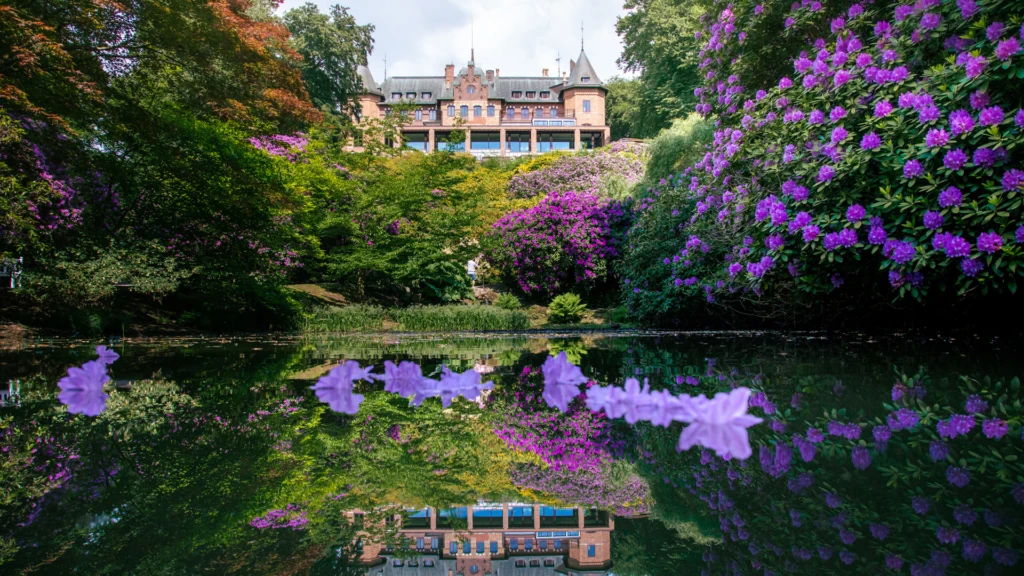 Sofiero slott med damm och rhododendron i förgrunden. (foto: Mattias Berglund/Sofiero)