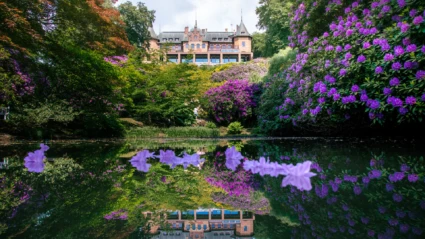 Sofiero slott med damm och rhododendron i förgrunden. (foto: Mattias Berglund/Sofiero)