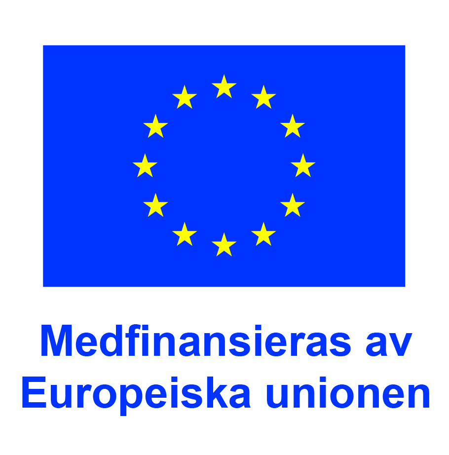 Europeiska unionens flagga med tolv gula stjärnor i en cirkel mot blå bakgrund. Under flaggan står texten "Medfinansieras av Europeiska unionen".
