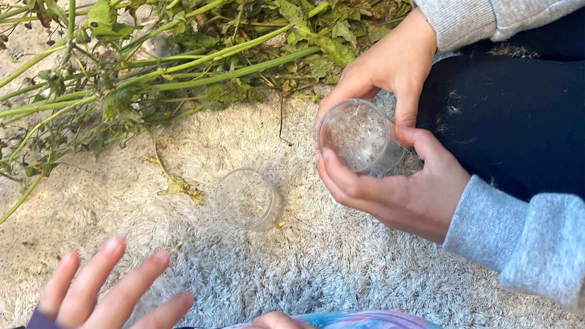 Foto på barn som tar in naturen under lupp på Adolfina förskola.