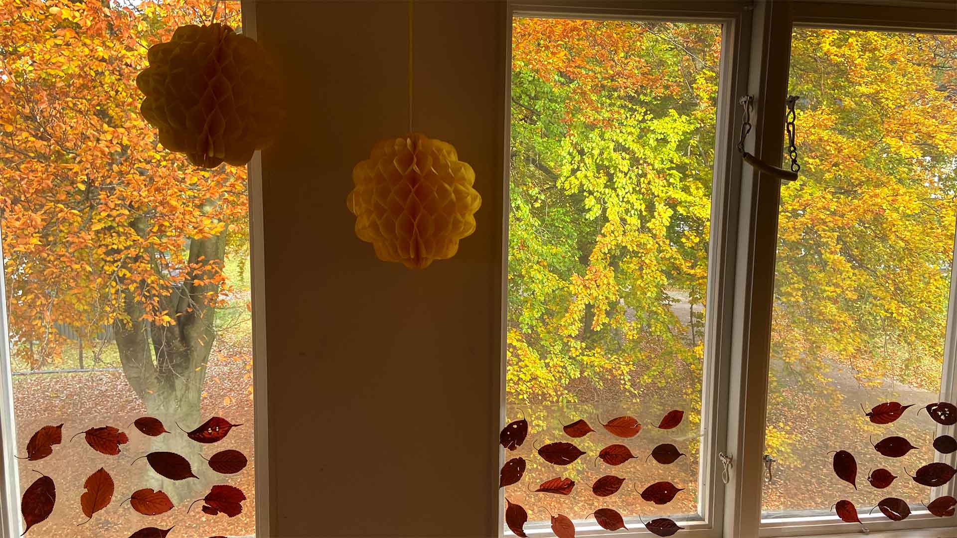 Brunnsalléns förskola, vy mot brunnsparken från våning 2 på Villa Begonia.