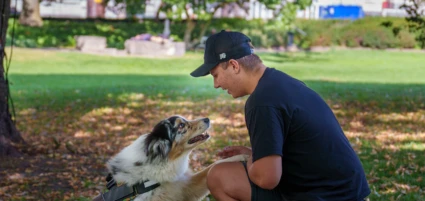 En person står på knä på en gräsmatta och håller i tassen på en hund som står framför honom.
