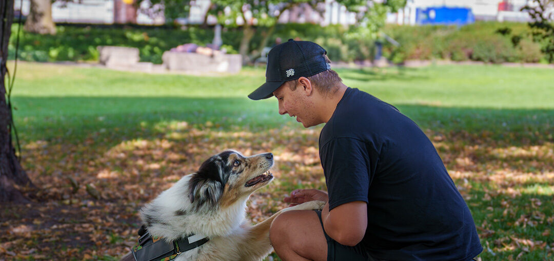 En person står på knä på en gräsmatta och håller i tassen på en hund som står framför honom.