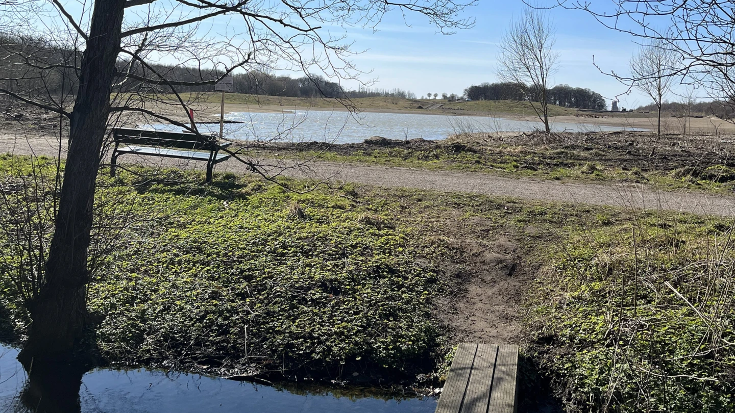 Damm vid Mårten Sjöbecks park