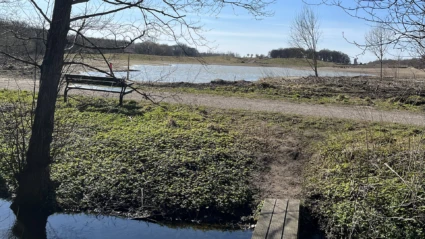 Damm vid Mårten Sjöbecks park