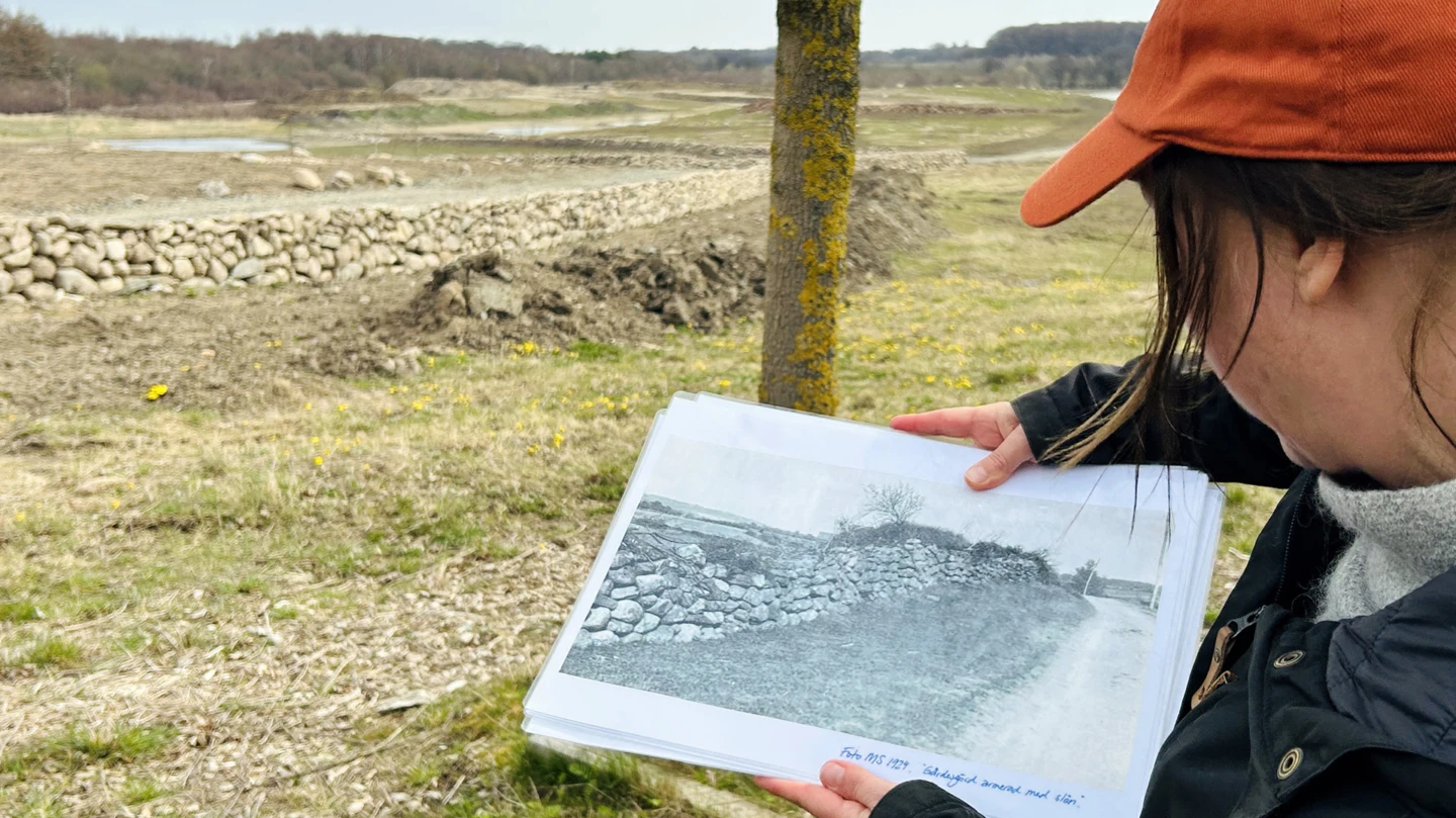 Stenmur Mårten Sjöbecks park