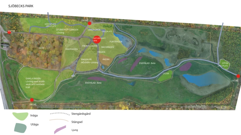 Mårten Sjöbecks park översiktsskiss