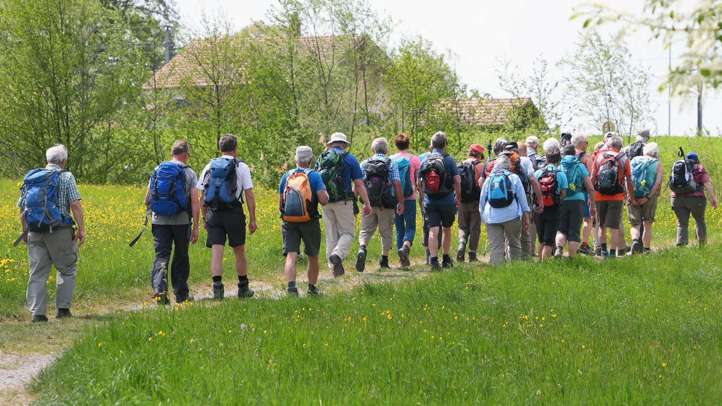 En grupp människor på promenad i det gröna.