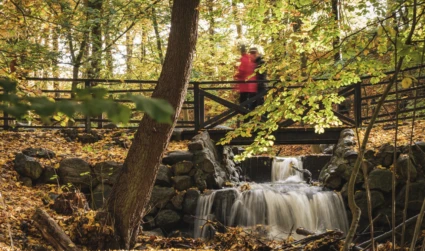 Personer som går i skogen en höstdag