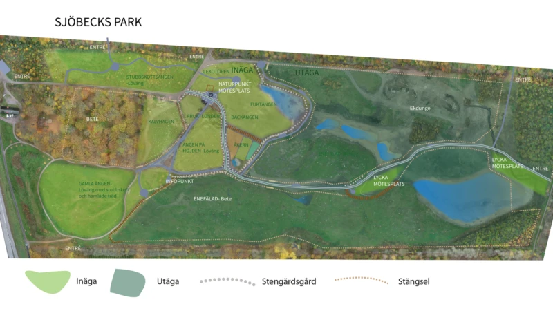 Mårten Sjöbecks park översiktsskiss