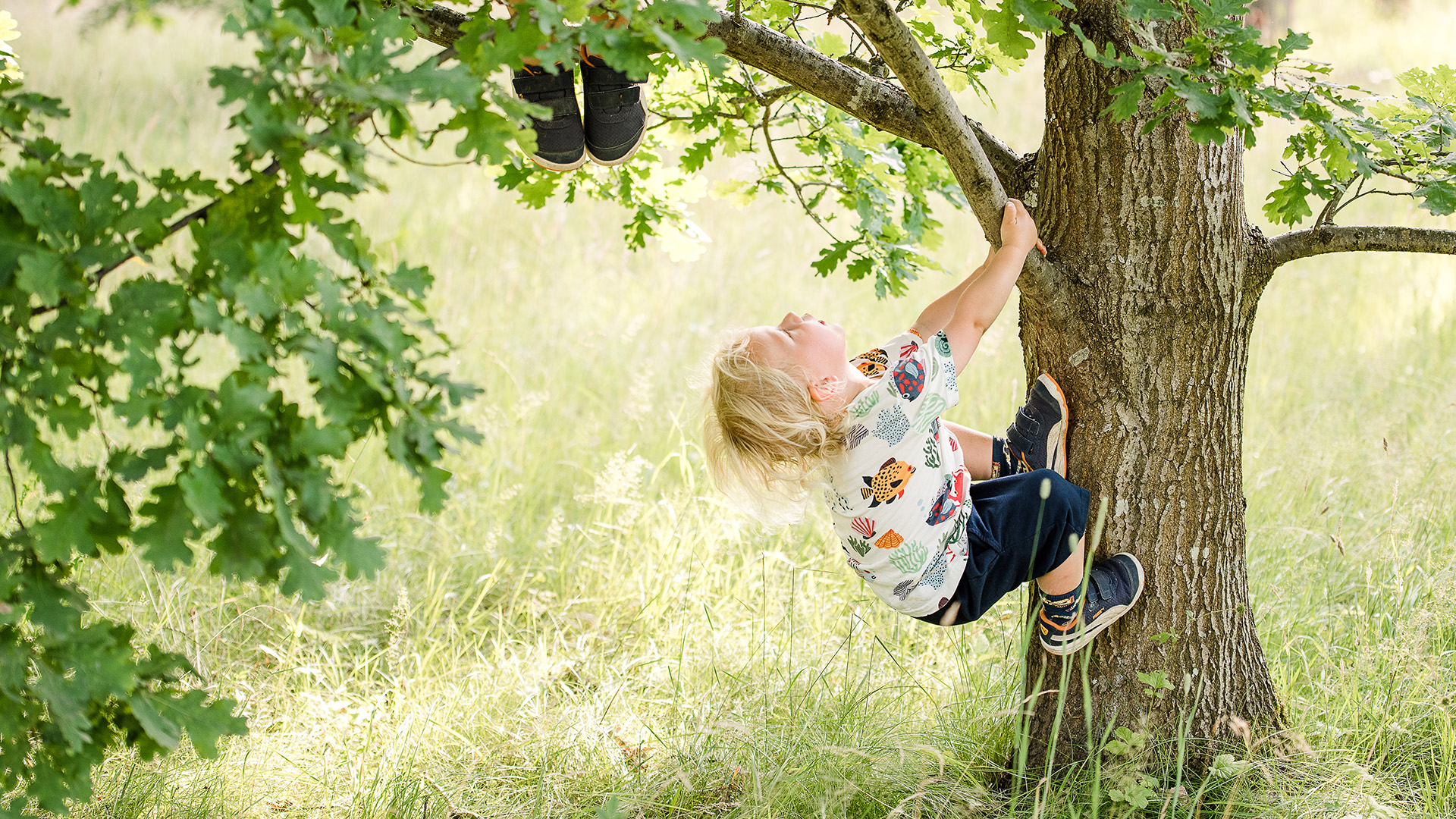 Pojke som klättrar upp i ett träd.