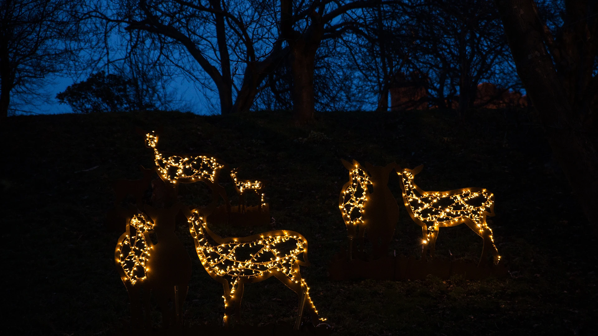 Skogens djur, ett av ljusverken under Drömljus