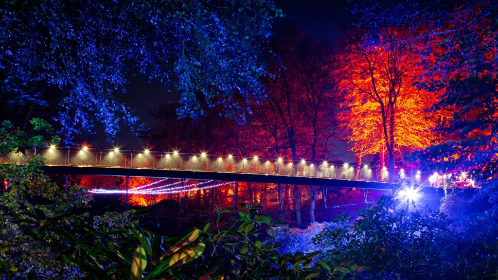 Höstljus, ett av ljusverken under Drömljus