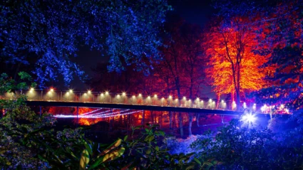 Höstljus, ett av ljusverken under Drömljus