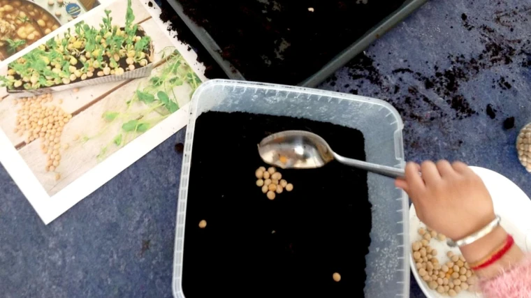 Barn som planterar ärtor med en sked i jorden. Foto: VIntergatans förskola 2024