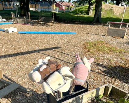 Bild med käpphästbanan på Allerums skola