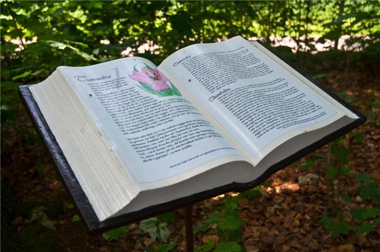 Öppen bok i naturen