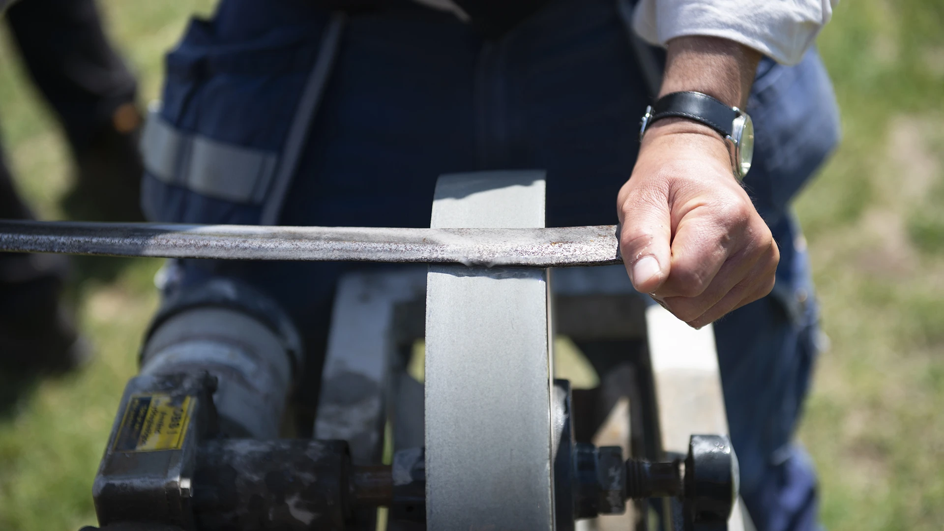 Ängskurs med lieslåtter