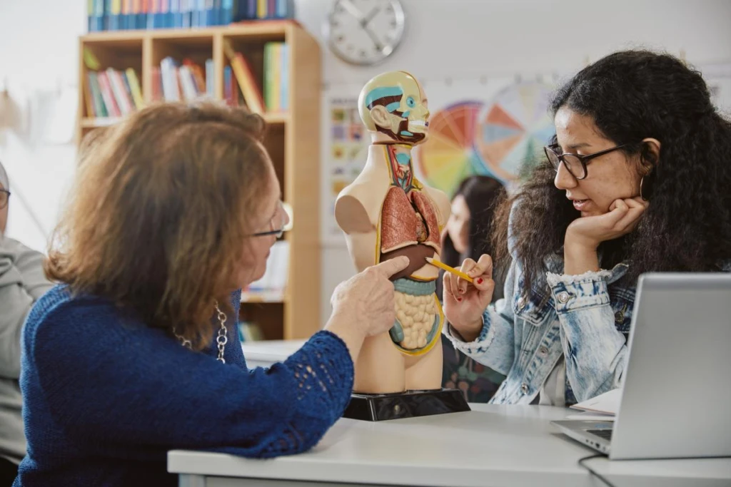 Lärare som berättar om de olika delarna av kroppen för elev i skolsal.