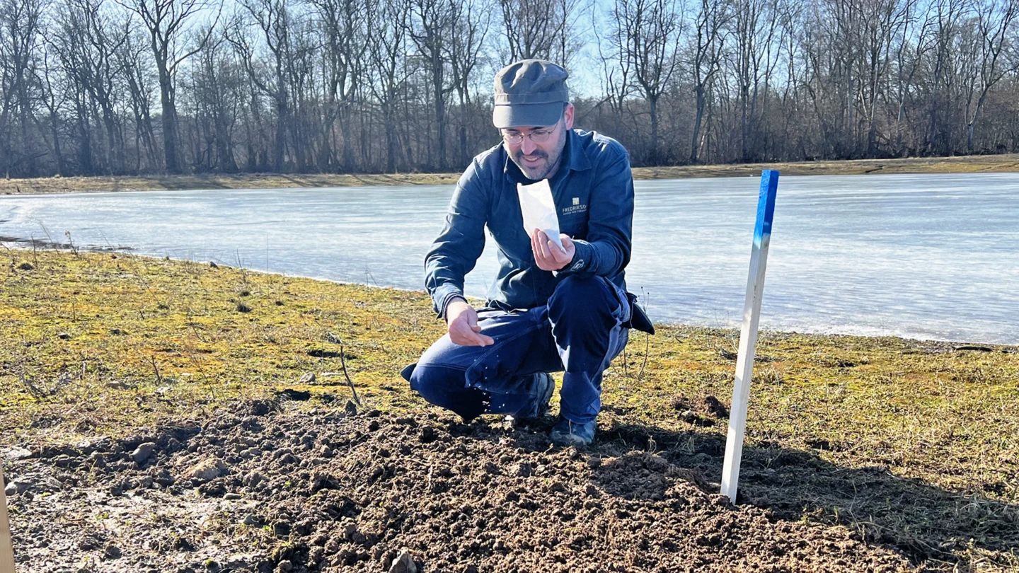 Från frö till planta