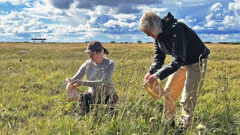 Från frö till planta