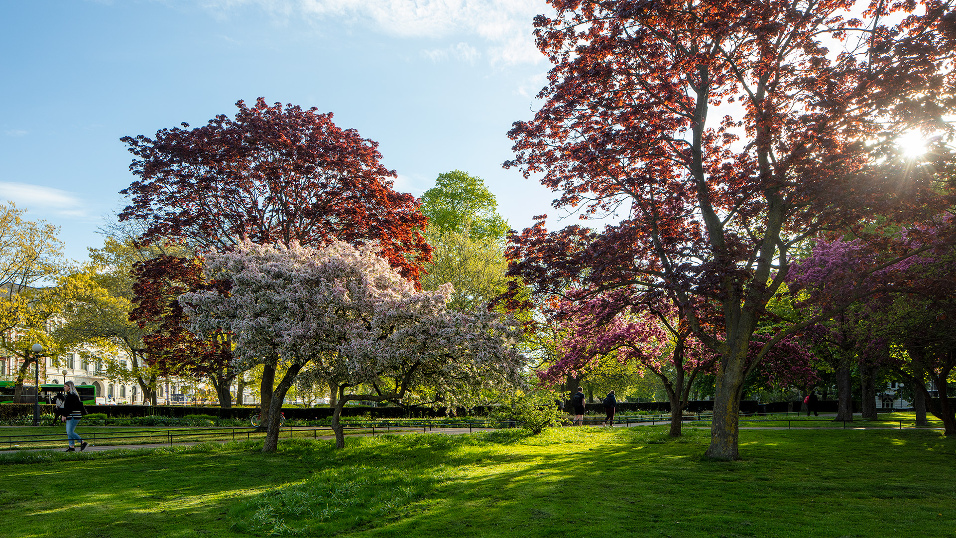 Kulturparken Stadsparken i höstfärger