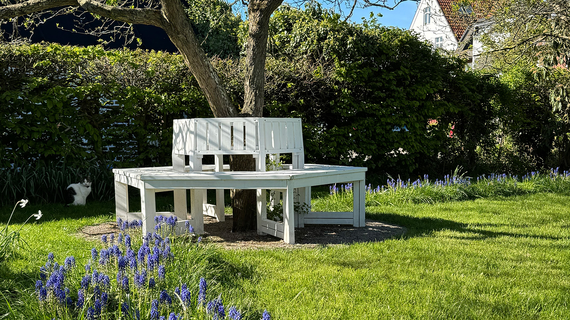 Bänk runt träd i kulturparken Hans Lars lycka
