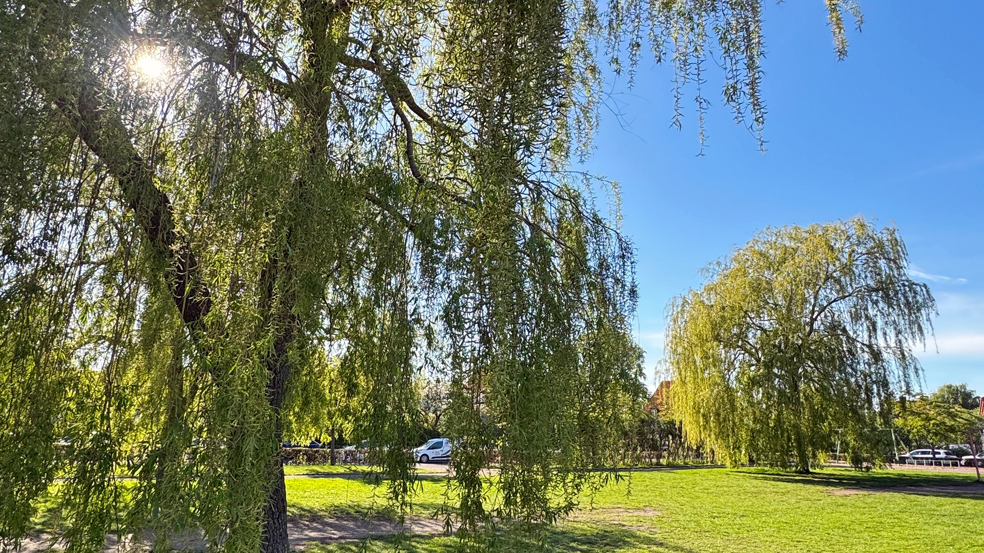 Kulturparken Pilvångsplatsen