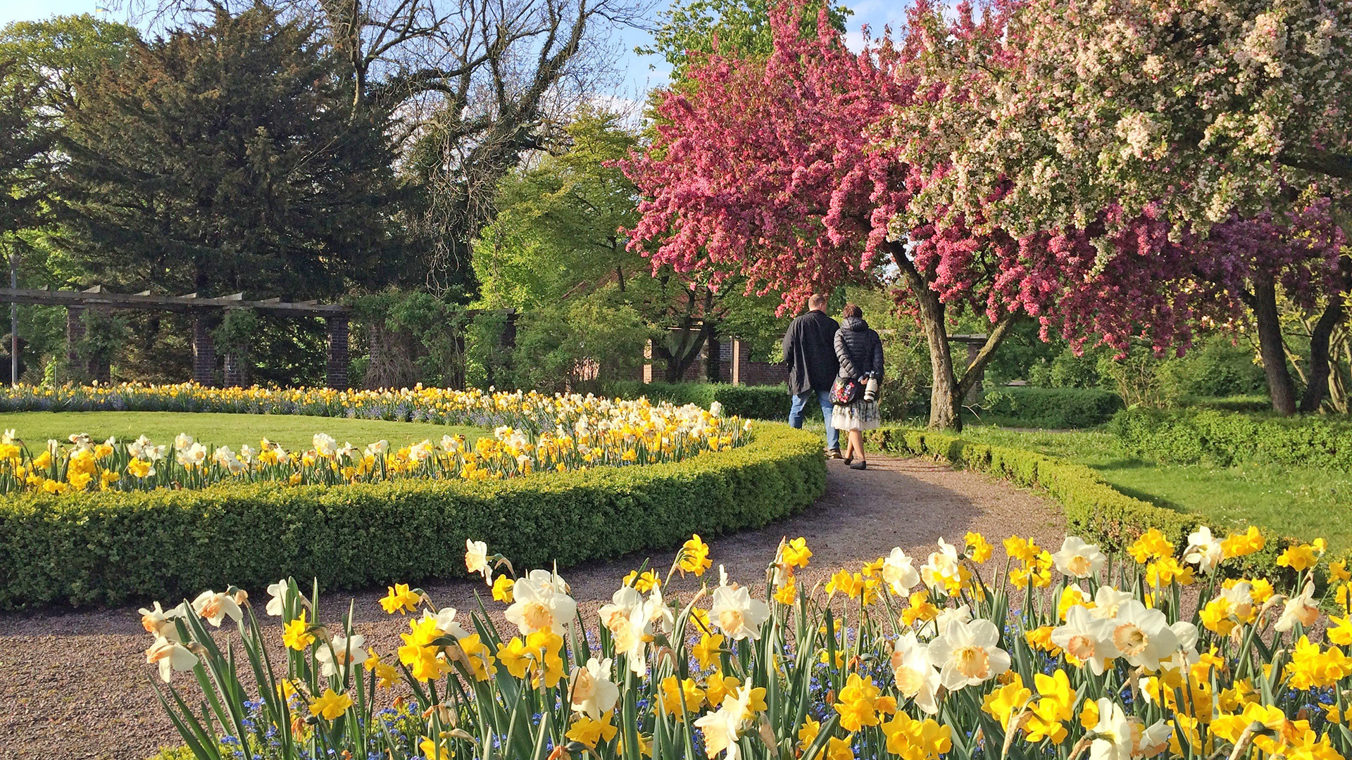 Vårrabatt i kulturparken Rosenträdgården