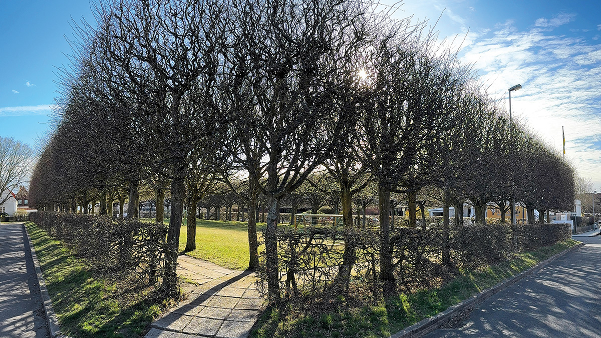 Kulturparken Fyrkanten